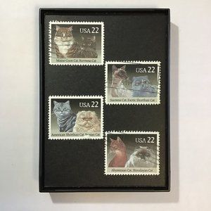 Cats - Recycled Postage Stamp Framed Art 3.5"x5", kitten, Siamese, Shorthair, ma